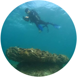 percorsi archeologici porto cesareo